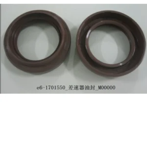 BYD ATTO 3 Differential Oil Seal e6-1701550