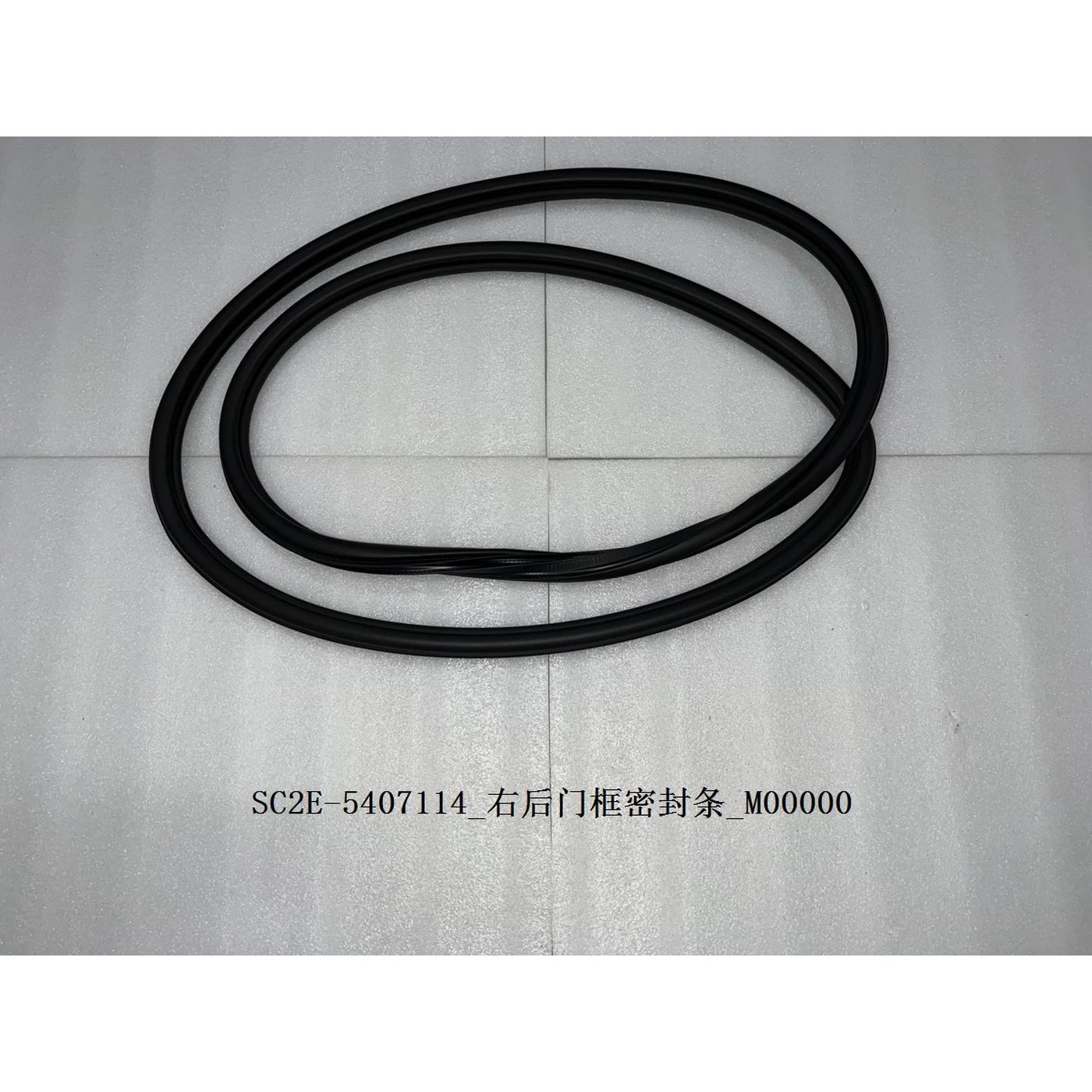 BYD ATTO 3 / Yuan PLUS Door Frame Seal Strip Right Rear SC2E-5407114