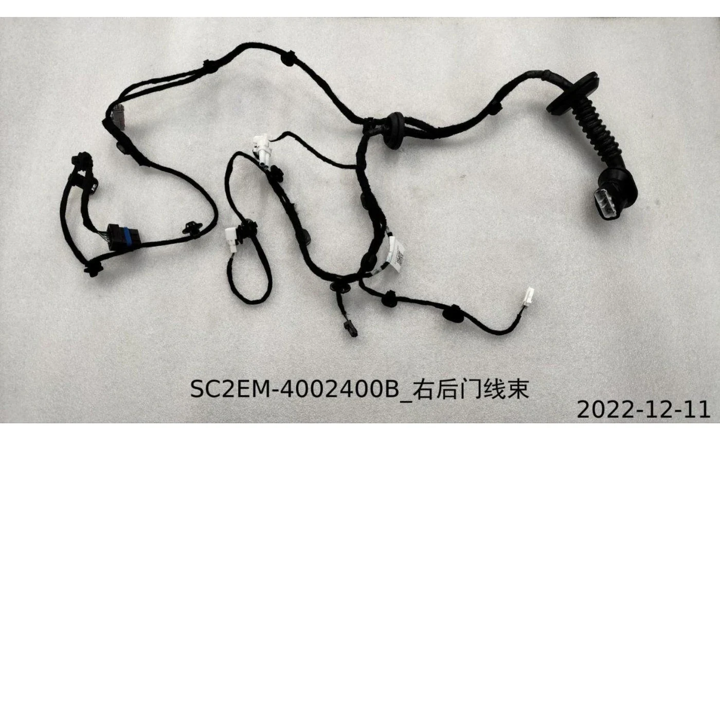 BYD ATTO 3 Door Harness Right and Left Rear SC2EM-4002400B