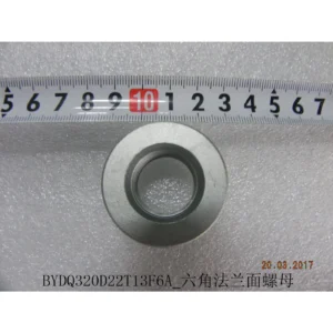 BYD ATTO 3 Hex Flange Nut BYDQ320D22T13F61KP1-5