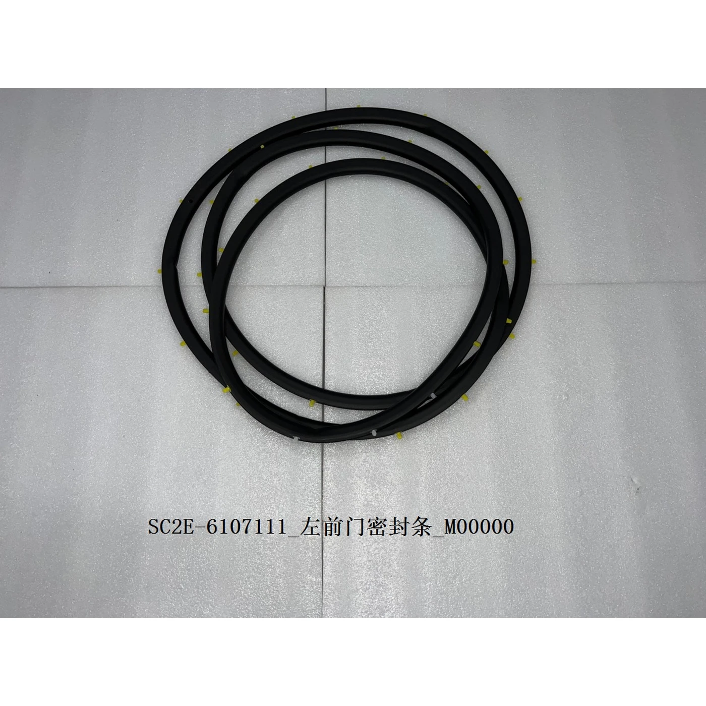 Left Front Door Seal Strip