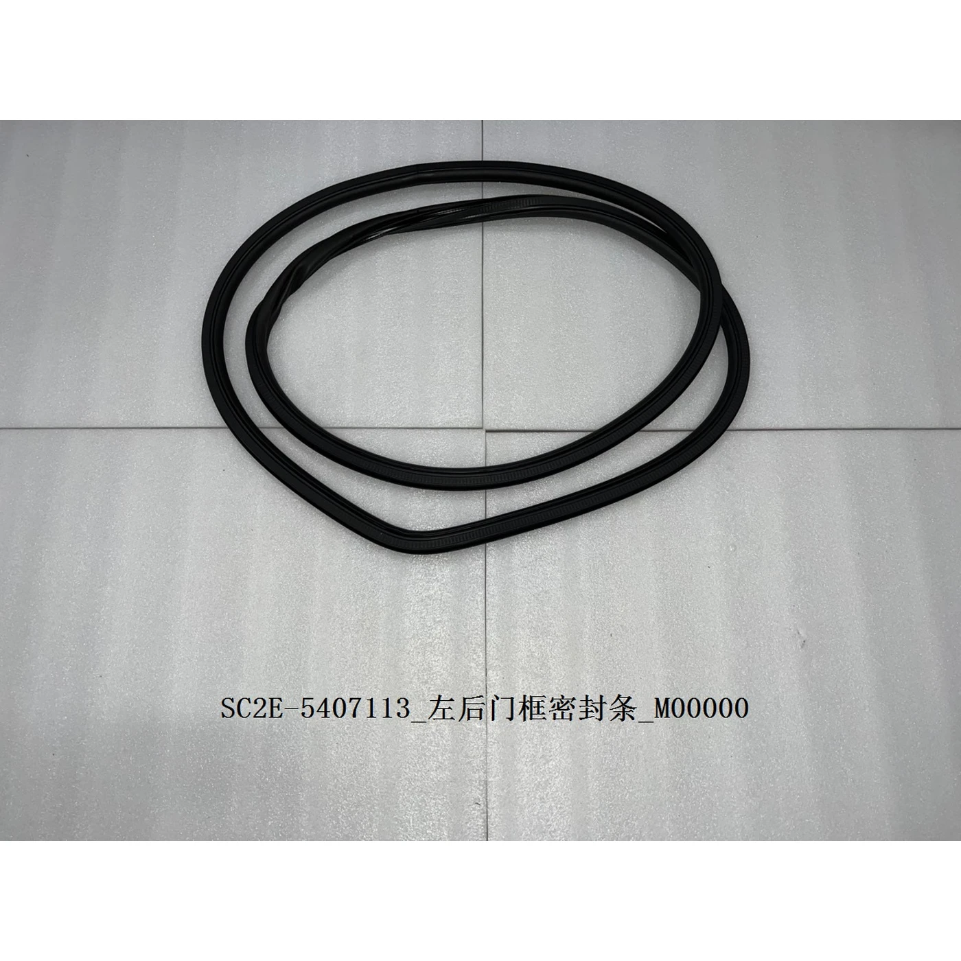Left Rear Door Frame Seal Strip