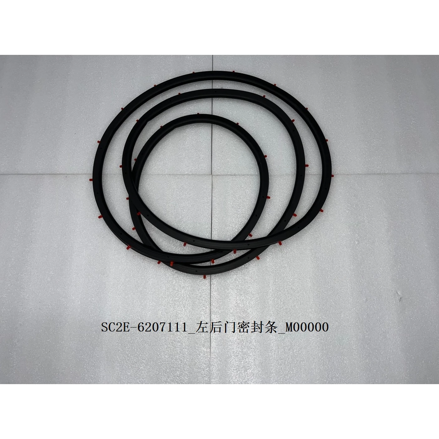 Left Rear Door Seal Strip