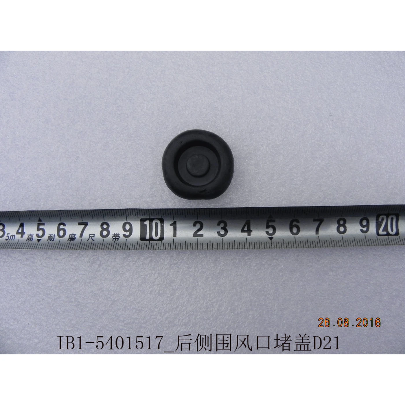 Rear Side Vent Cover D21