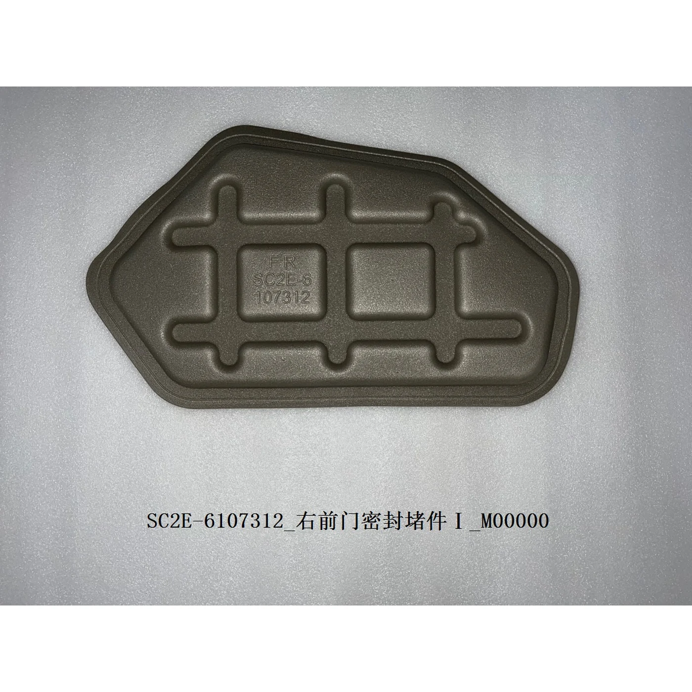 Right Front Door Seal Plug