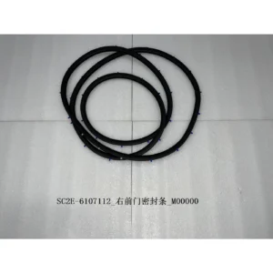 BYD ATTO 3 Right Front Door Seal Strip SC2E-6107112