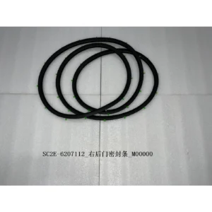 BYD ATTO 3 Right Rear Door Seal Strip SC2E-6207112