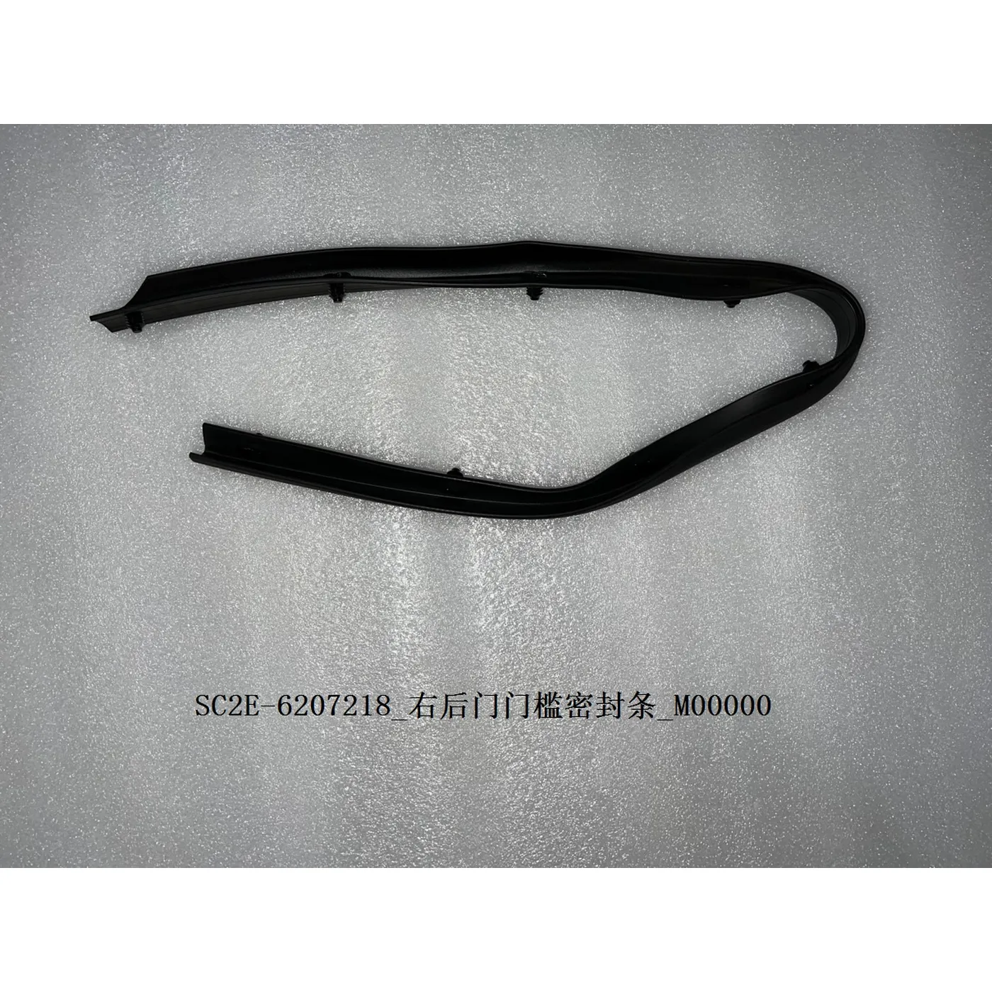 Right Rear Door Threshold Seal Strip
