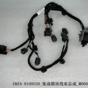 Integrated Module Wiring Harness Assembly for BYD DOLPHIN