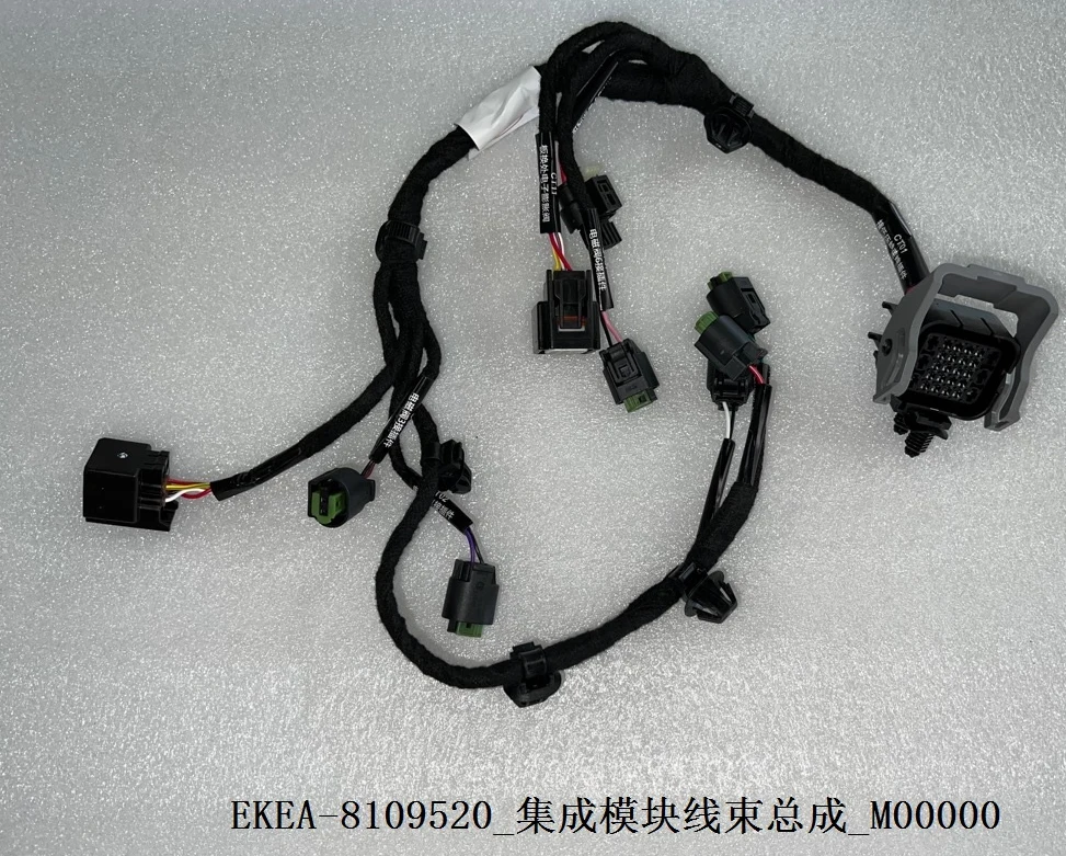 Integrated Module Wiring Harness Assembly for BYD DOLPHIN