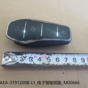 Electronic Smart Key for BYD DOLPHIN