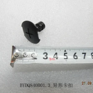 BYD Dolphin Asymmetrical Clasp BYDQ840B01.3