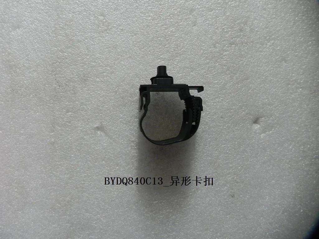 BYD Dolphin Asymmetrical Clasp BYDQ840C13