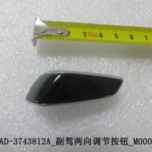 BYD Dolphin Auxiliary Seat Two-way Adjustment Buttons HAD-3743812A
