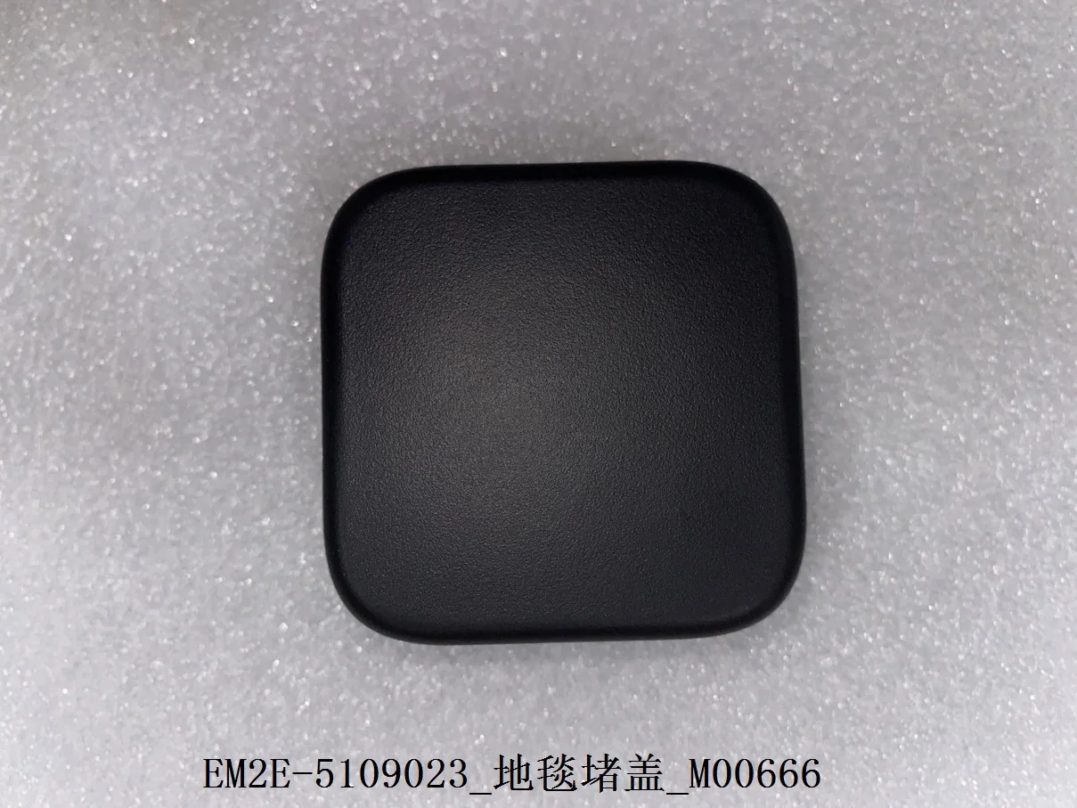 BYD Dolphin Carpet Dam EM2E-5109023