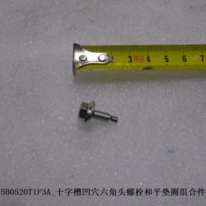 BYD Dolphin Combination Of Cross-groove Recessed Hexagonal Head Bolt And Flat Washer P0.8 BYDQ175B0520T1F3A