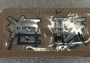 BYD Dolphin Dolphin Logo Assembly EM2EG-3921270
