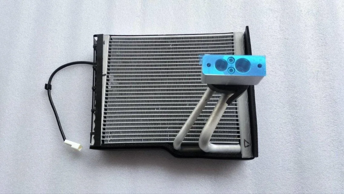 BYD Dolphin Evaporator Assembly SC2EM-8107010