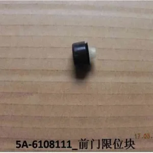 BYD Dolphin Front Threshold Block 5A-6108111