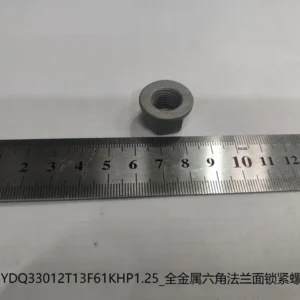 BYD Dolphin Full Metal Hexagonal Flange Face Locking Nut BYDQ33012T13F61KHP1.25