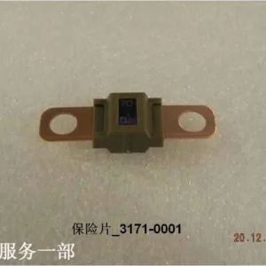BYD Dolphin Fuse 3171-0001 32V 70A