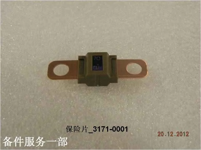 BYD Dolphin Fuse 3171-0001 32V 70A