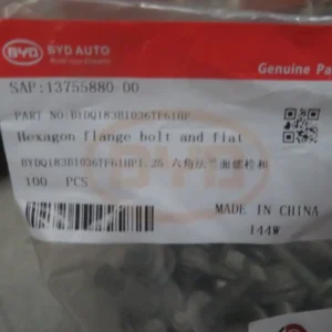 BYD Dolphin Hexagonal Flange Bolt And Flat Washer Assembly BYDQ183B1036TF61HP1.25