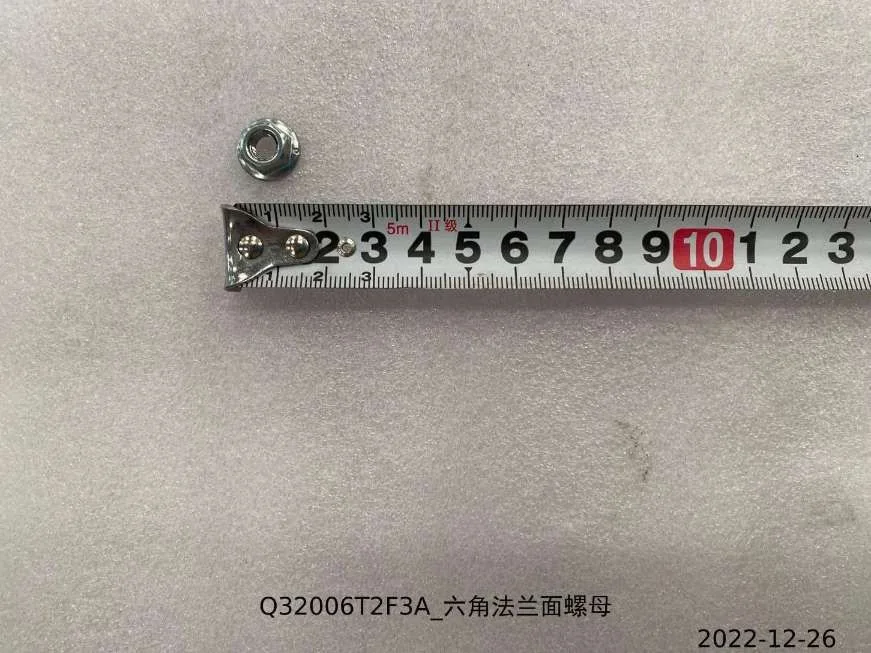 BYD Dolphin Hexagonal Flange Face Nut Q32006T2F3A