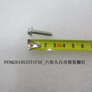 BYD Dolphin Hexagonal Head Self-tapping Screw BYDQ2610523T1F3A