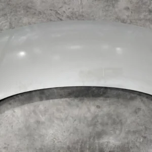 BYD Dolphin Hood Assembly EM2EU-8402010/77