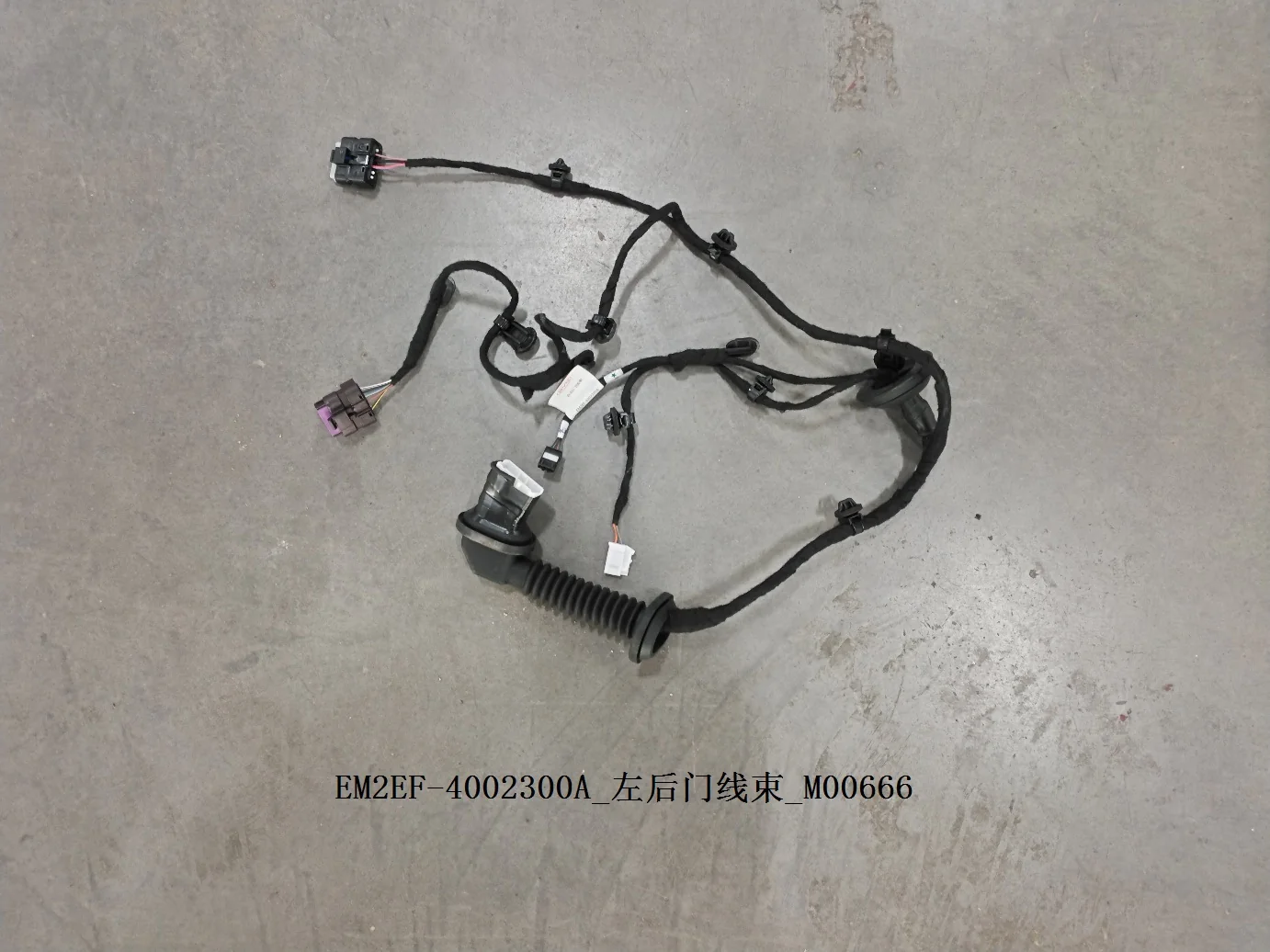 BYD Dolphin Left Rear Door Wiring Harness EM2EF-4002300A