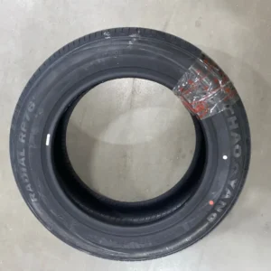 BYD Dolphin Radial Tire EM2E-3106010B