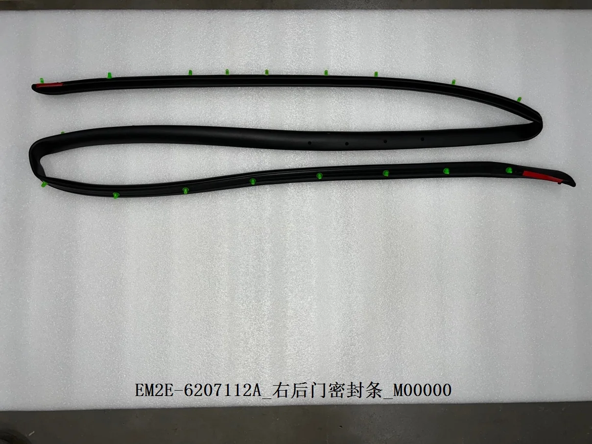 BYD Dolphin Rear Right Door Seal EM2E-6207112A