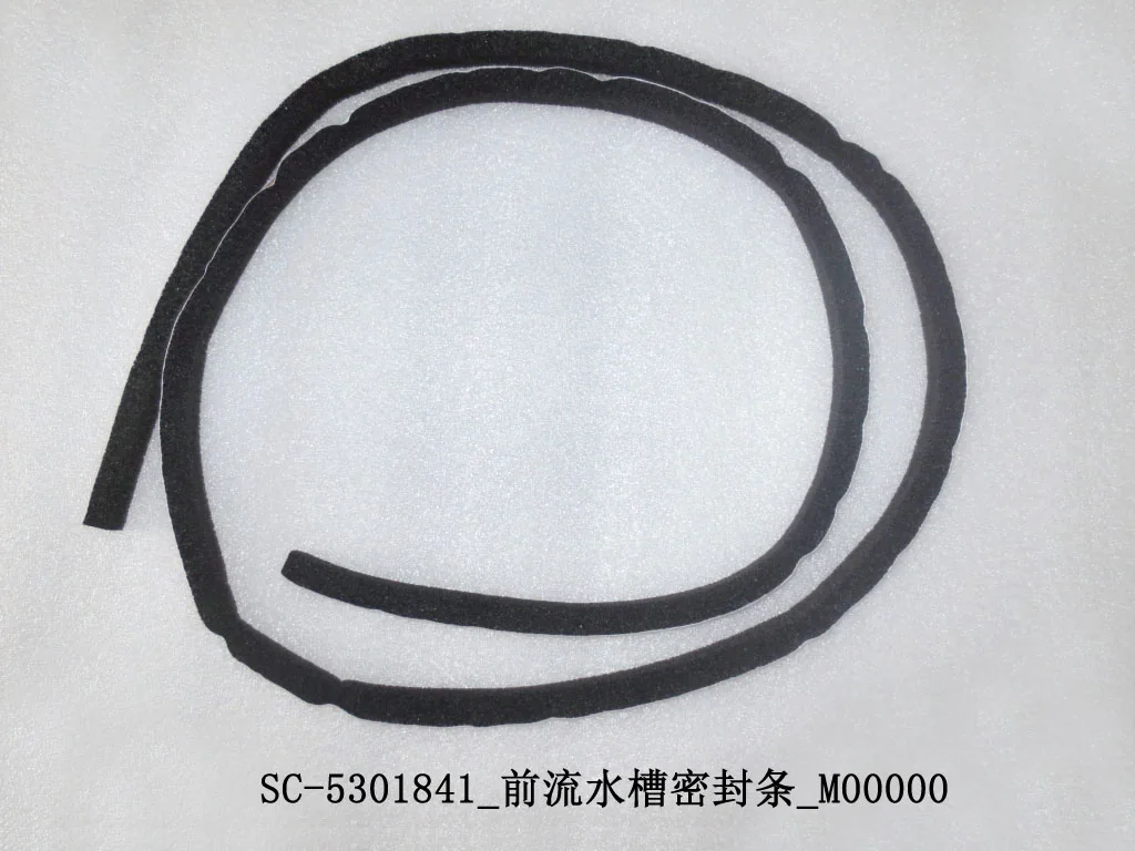 BYD Dolphin Sealing Strip