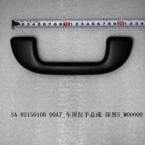 BYD Dolphin Top Handrail Assembly - Deep Black 5 SA-8215010B-00A7
