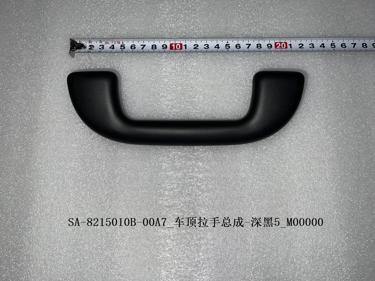 BYD Dolphin Top Handrail Assembly - Deep Black 5 SA-8215010B-00A7