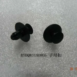 BYD Dolphin Twin Clasp BYDQ831A0805