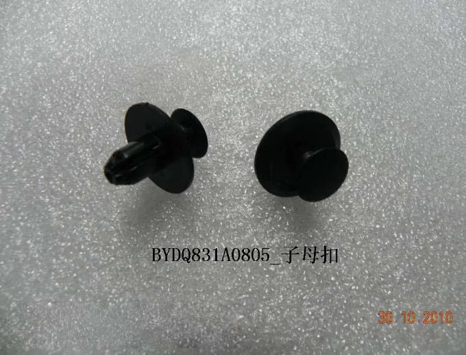 BYD Dolphin Twin Clasp BYDQ831A0805