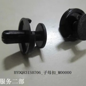 BYD Dolphin Twin Clasp BYDQ831S0706