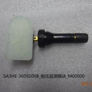 BYD Dolphin Typical Pressure Monitoring Module SA3HE-3609200B