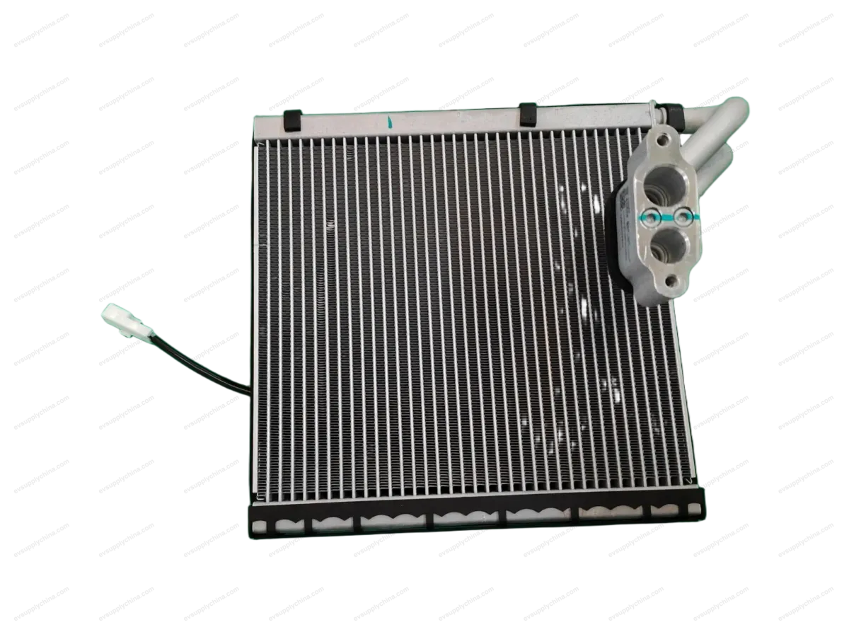 BYD HAN EV Evaporator Assembly SA2E-8107010D