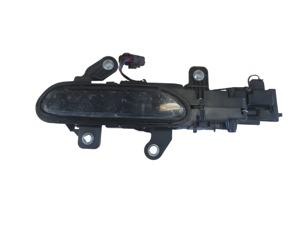 Left Rear Door Handle Assembly