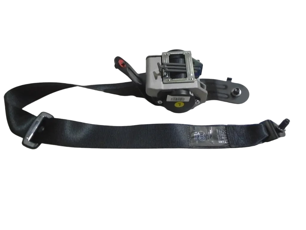 Left Rear Seat Belt Assembly