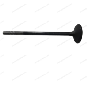 Intake Valve for BYD King DM-i / Destroyer 05 472QA-1003101