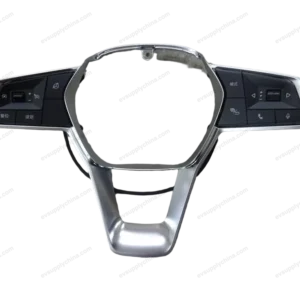 Steering Wheel Switch for BYD King DM-i / Destroyer 05 HAD-3402400E-E1