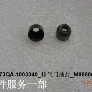 Exhaust Valve Oil Seal for BYD SONG PLUS