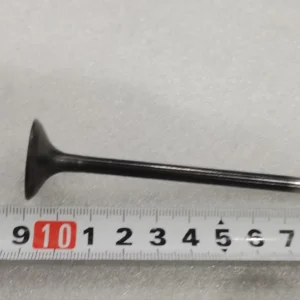 Exhaust Valve for BYD SONG PLUS