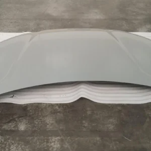 Hood for BYD SONG PLUS