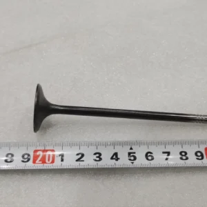 Intake Valve for BYD SONG PLUS