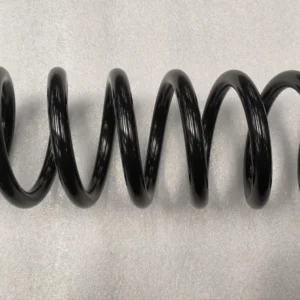 Rear Coil Spring for BYD SONG PLUS